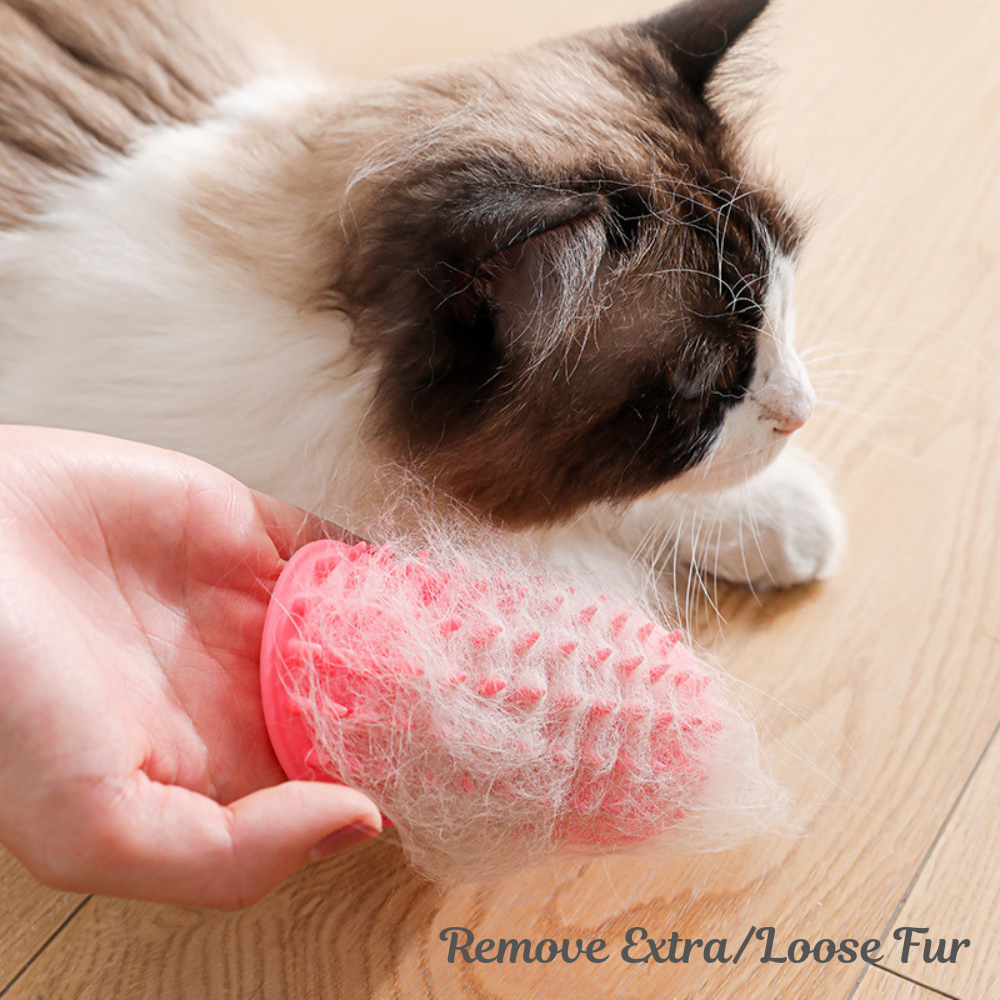 Pet Scratch Pad Silicone Sticker – Wall & Corner Itch Relief Toy