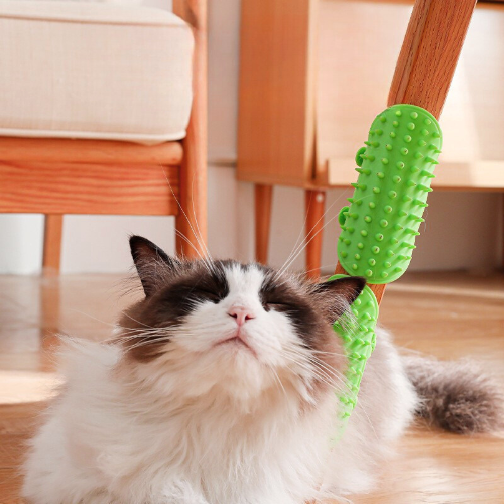 Pet Scratch Pad Silicone Sticker – Wall & Corner Itch Relief Toy