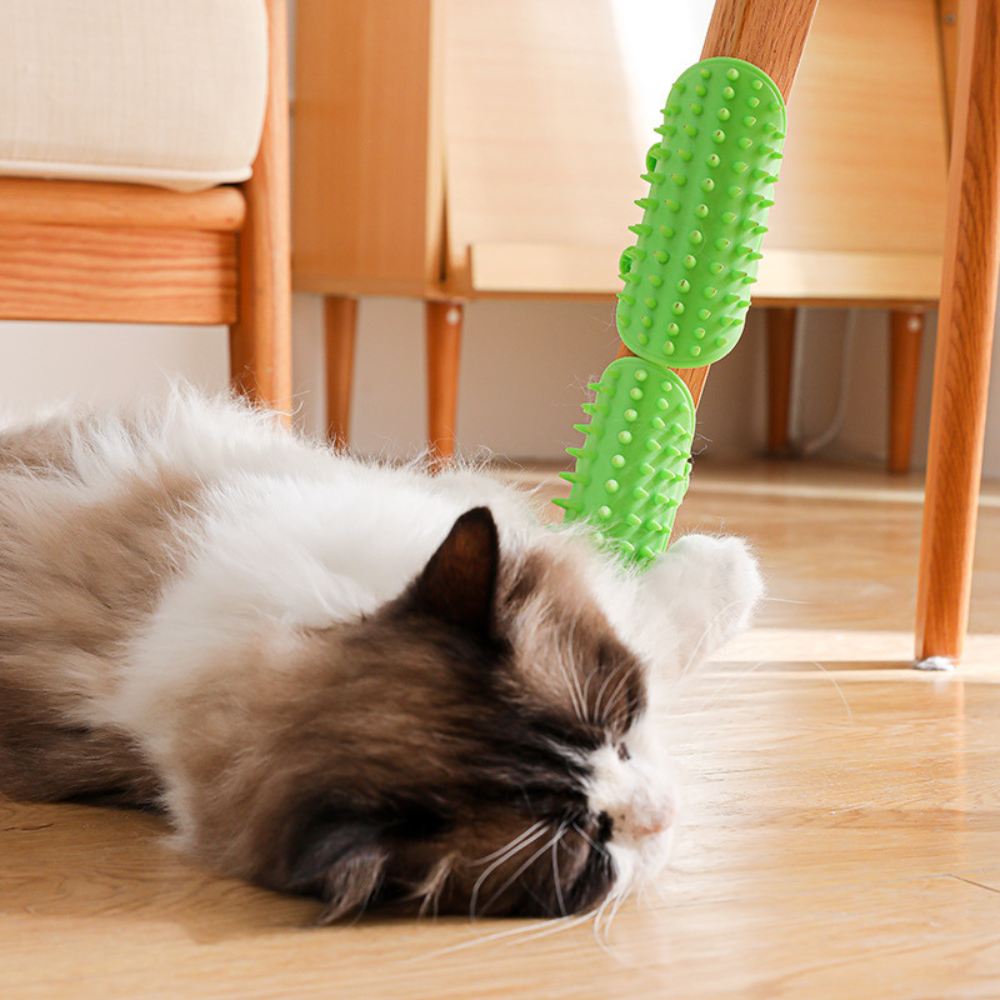 Pet Scratch Pad Silicone Sticker – Wall & Corner Itch Relief Toy